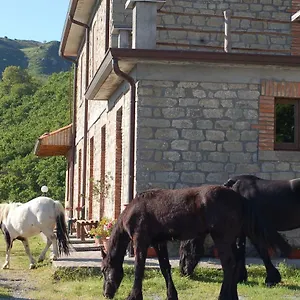 Agriturismo Il Capitano Alloggio per agriturismo Floresta